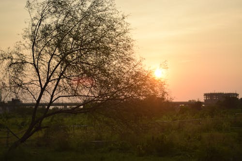 Fotos de stock gratuitas de amanecer, anochecer, atardecer