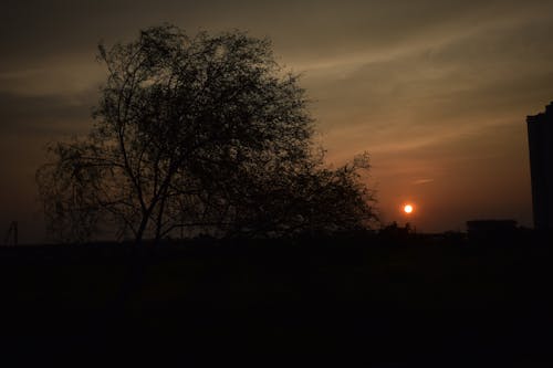 Gratis lagerfoto af atmosfærisk, atmosfæriske fænomen, cirrus