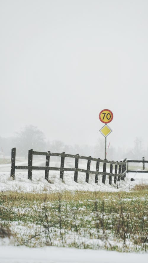 Fog over Road Signs in Countryside in Winter