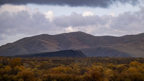 Foto profissional grátis de árvores, colinas, interior