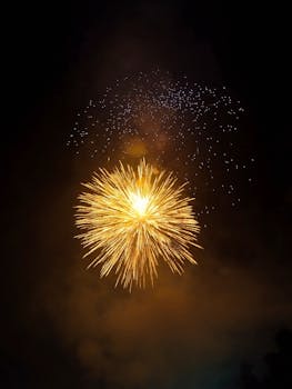 A stunning fireworks explosion lights up the night sky in a vivid celebration.