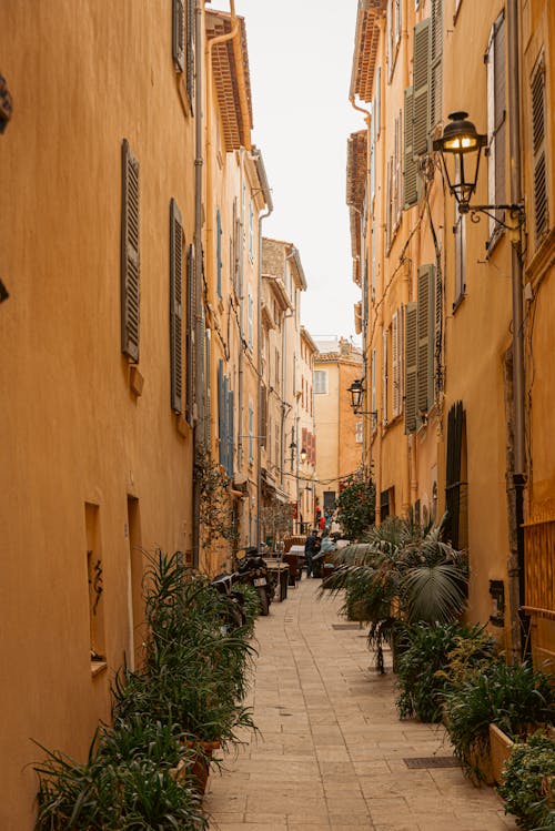 A narrow alley with yellow buildings and plants