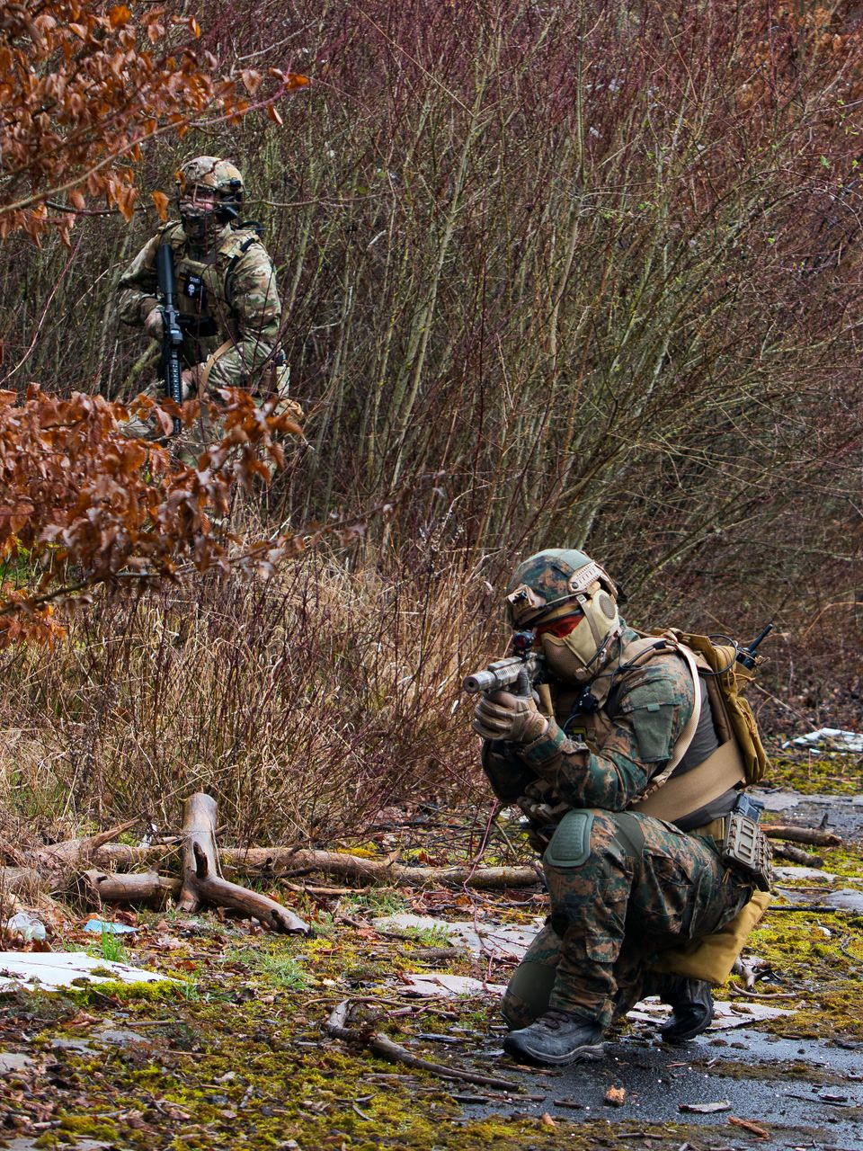 Uniformed personnel moving through woodland during field training