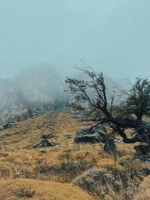 天性, 山, 景觀 的 免费素材图片