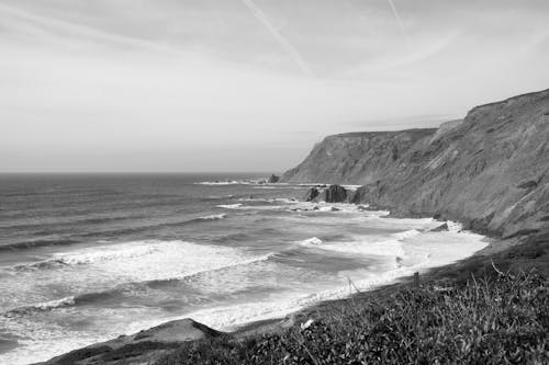 Foto stok gratis garis pantai, hitam & putih, hitam dan putih
