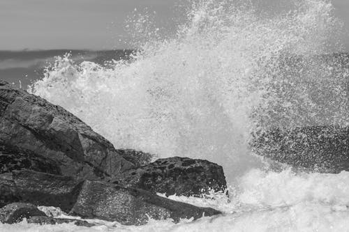 Бесплатное стоковое фото с волна, дробление, море
