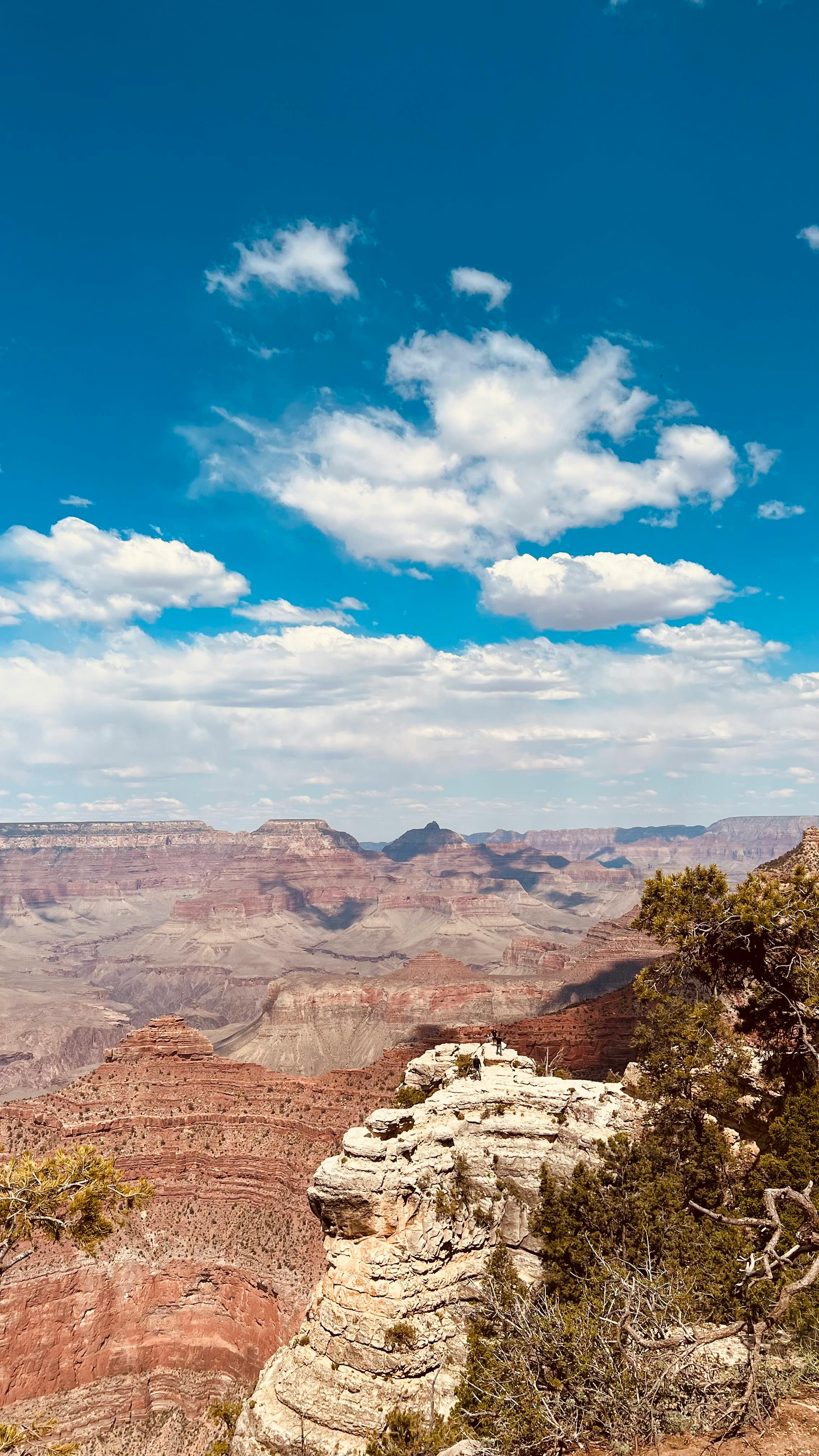 Scenic National Parks - Grand Canyon (Blu-ray Disc, 2008