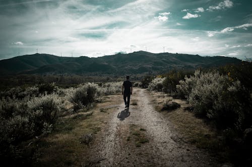 Gratis stockfoto met lopen, zandweg