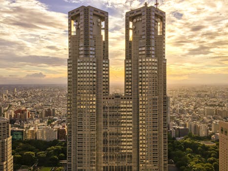 从空中俯瞰日落时的东京天际线，东京都政府大楼格外醒目