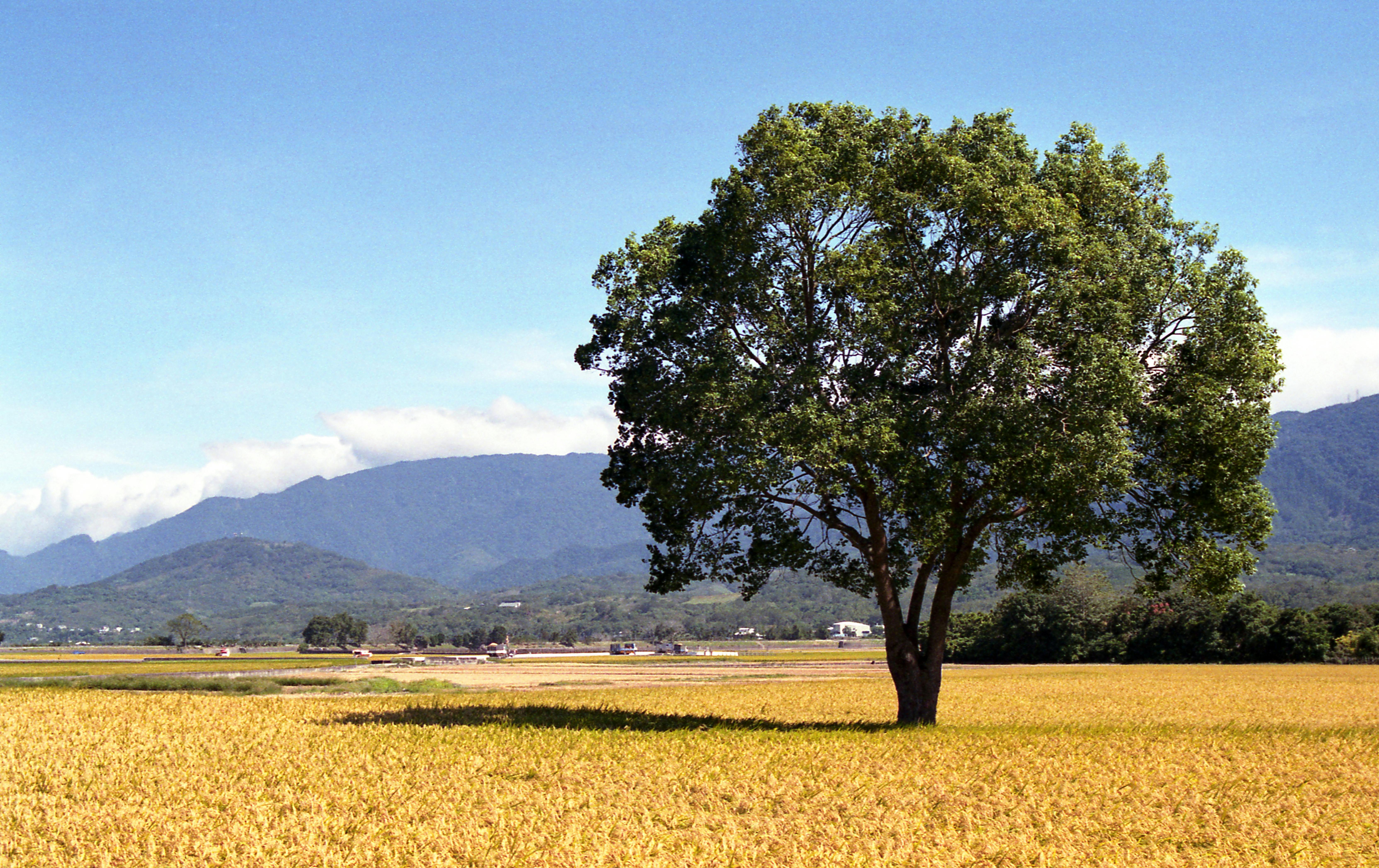Landmarks in Hualien