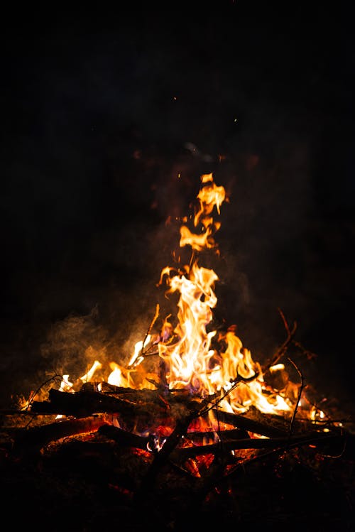 모닥불, 불, 수직 쐈어의 무료 스톡 사진