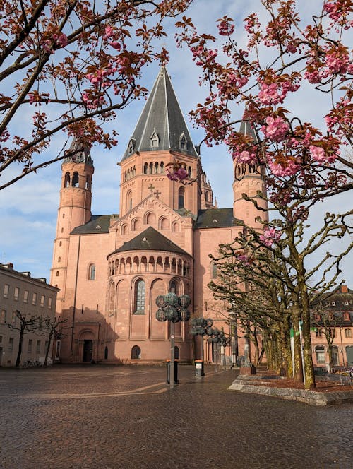 中世紀建築, 大教堂, 日光 的 免費圖庫相片