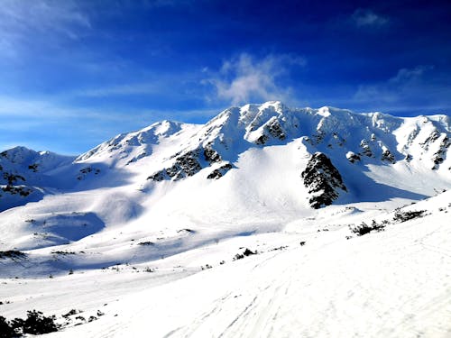 Gratis arkivbilde med alpin, fjell, forkjølelse