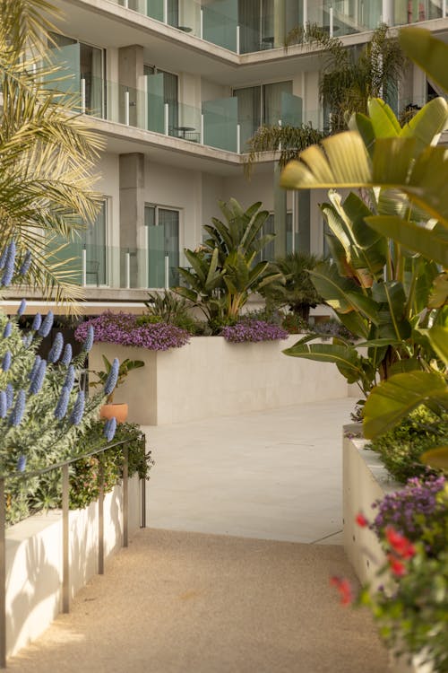 Foto stok gratis beranda, bunga-bunga, hotel mewah