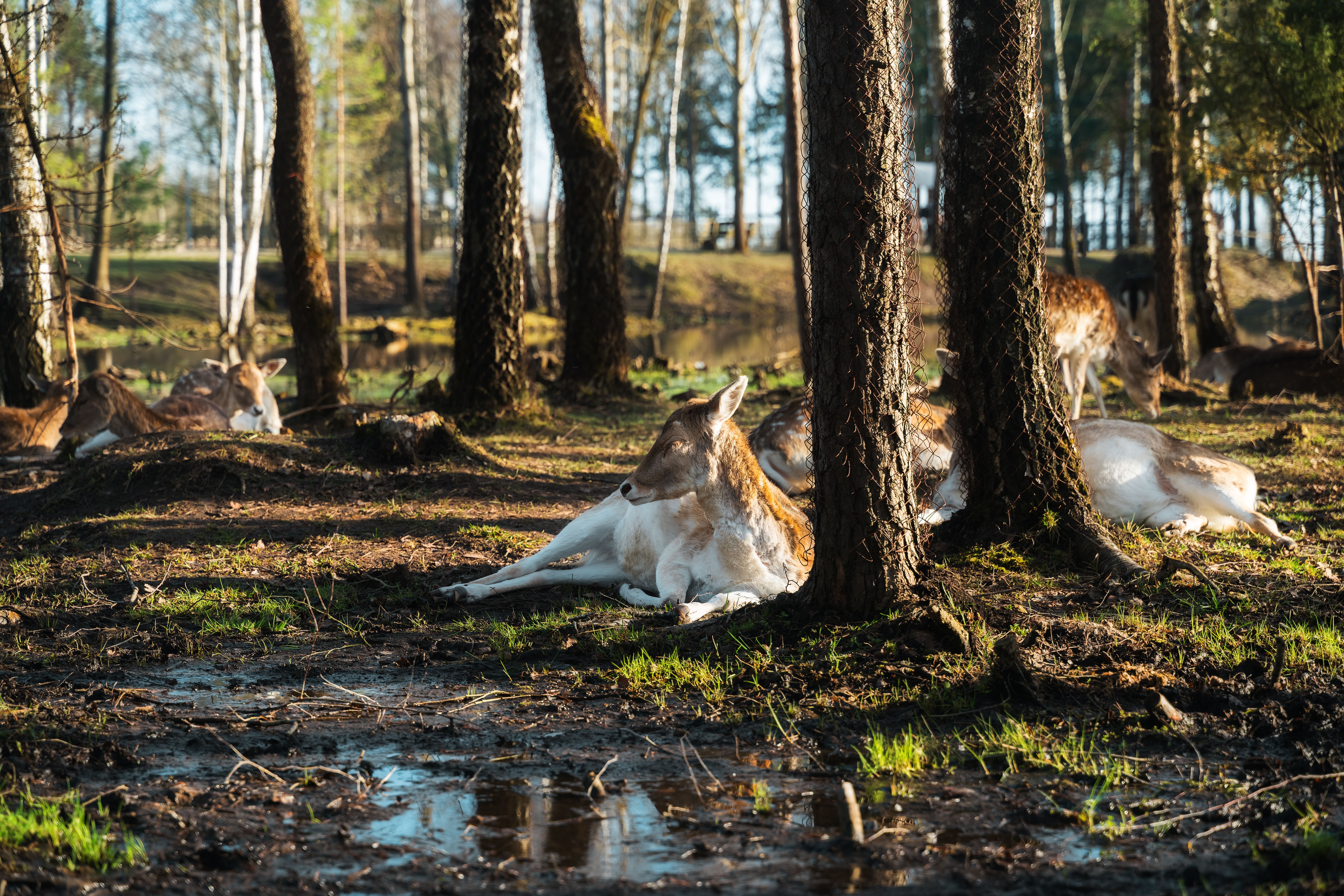 Wildlife and natural habitat preservation