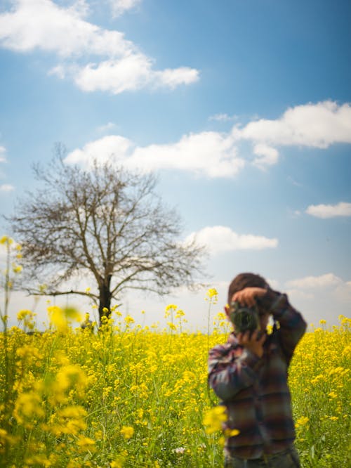 Ingyenes stockfotó 4k-háttérkép, 8 k tapéta, alkotás témában