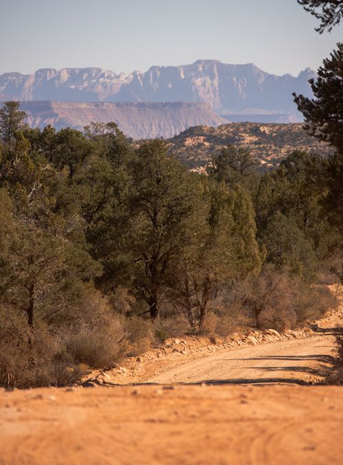 Free A tranquil dirt road winding through a forest with a mountain range in the background. Stock Photo