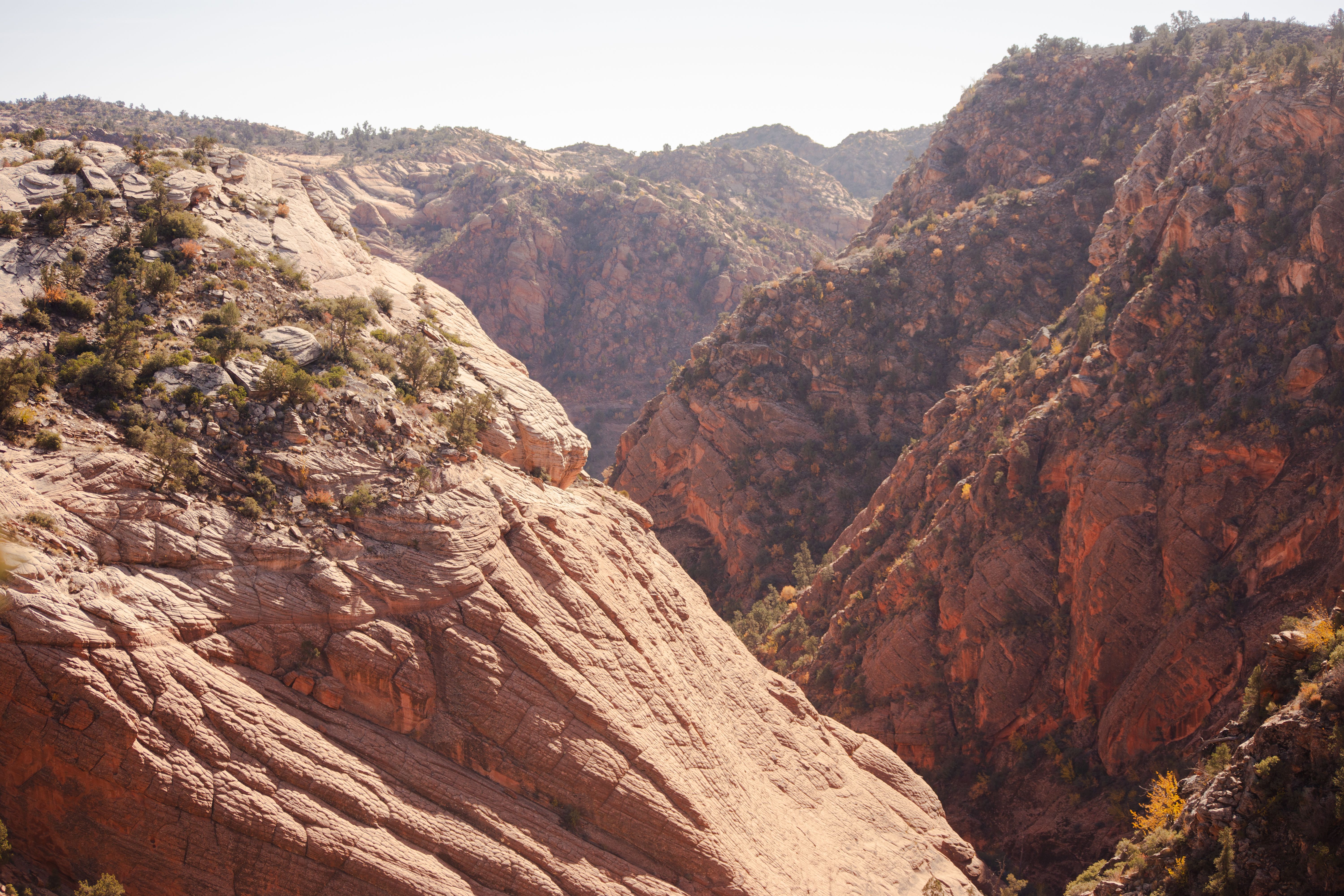 Warm red rock canyon cliffs