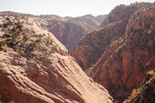 A person is standing on a cliff looking down at a canyon