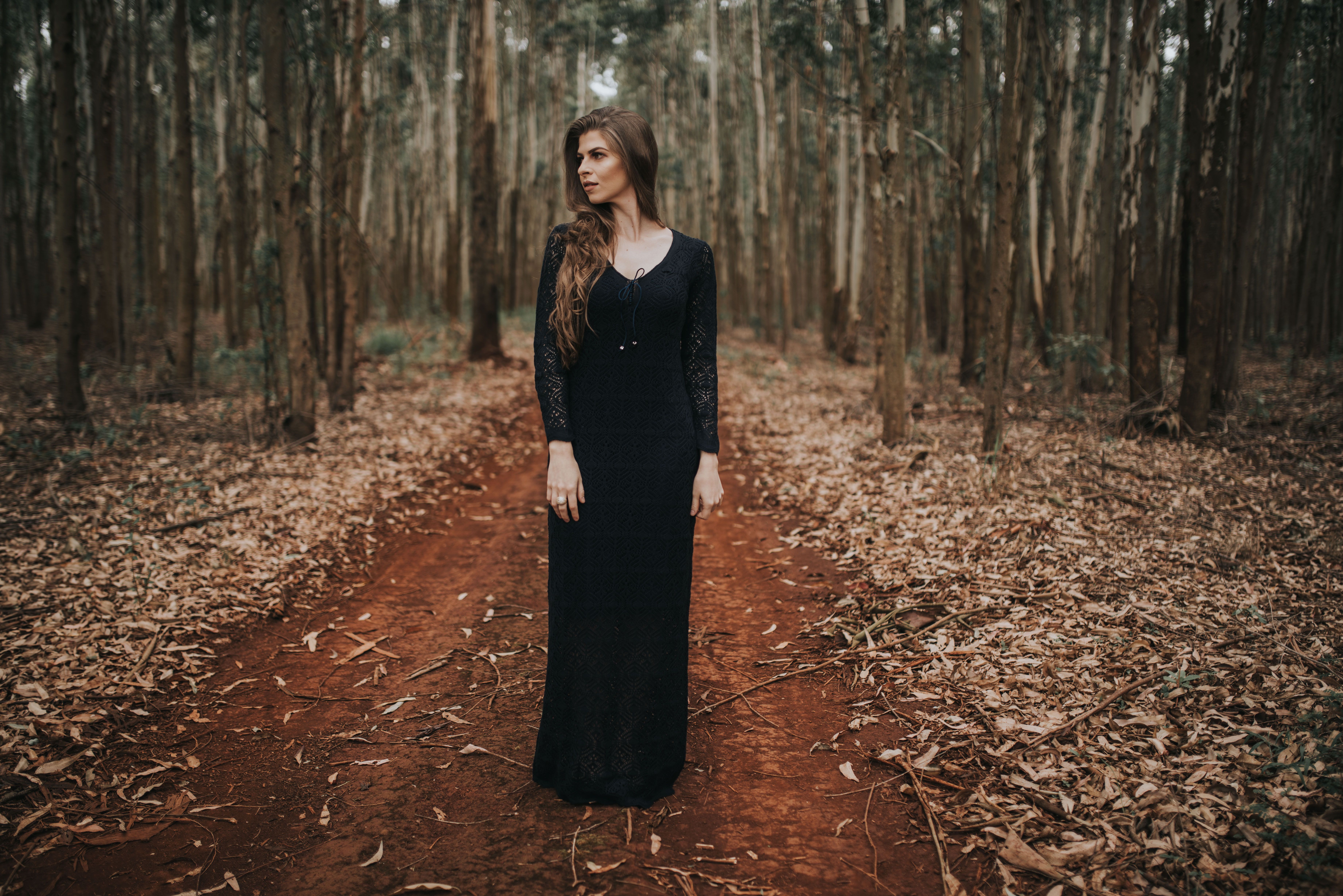 Woman in a Black Dress Standing in a Forest · Free Stock Photo