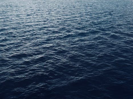 捕捉波罗的海平静的蓝色海水，映照出大自然的宁静氛围