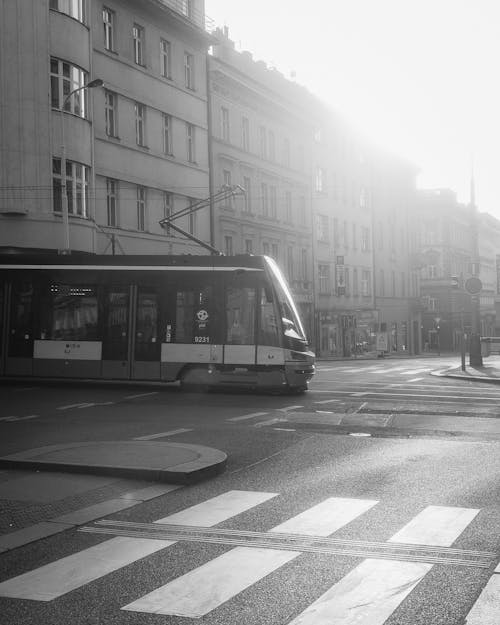 Foto stok gratis aspal, hitam & putih, jalan-jalan kota