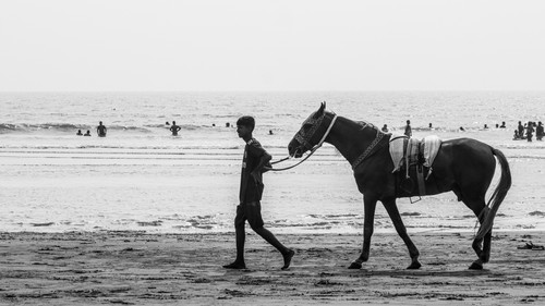 Free Black and white photo of a boy leading a horse along Cox's Bazar beach. Stock Photo