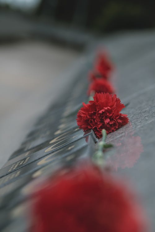 Red Flowers on a Grave 