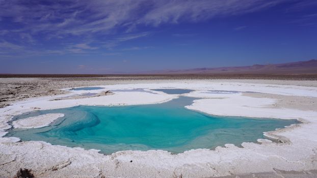 Laguna Cejar salt-lake float — Atacama Desert