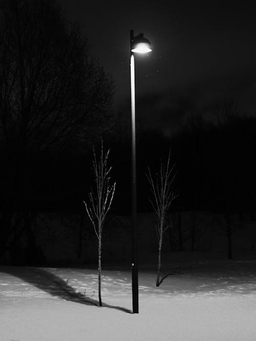 A black and white photo of a street light in the snow