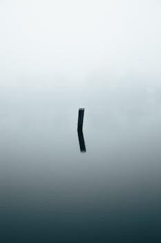 Calm misty lake with a single post reflection in Copenhague, Denmark.
