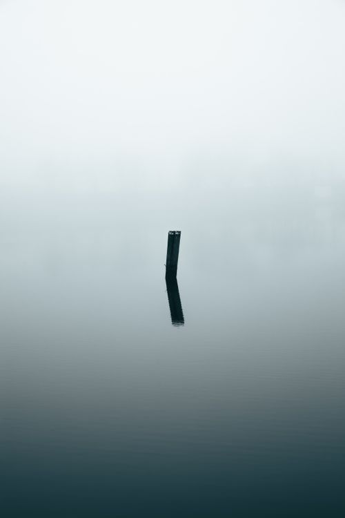 Free Calm misty lake with a single post reflection in Copenhague, Denmark. Stock Photo