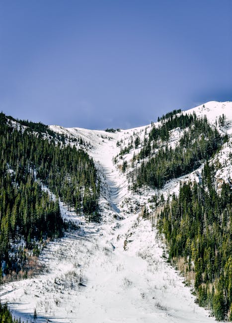 A breathtaking snow-capped mountain and forest scene, perfect for winter-themed projects.