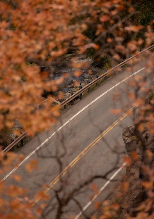 A car is driving down a road with trees
