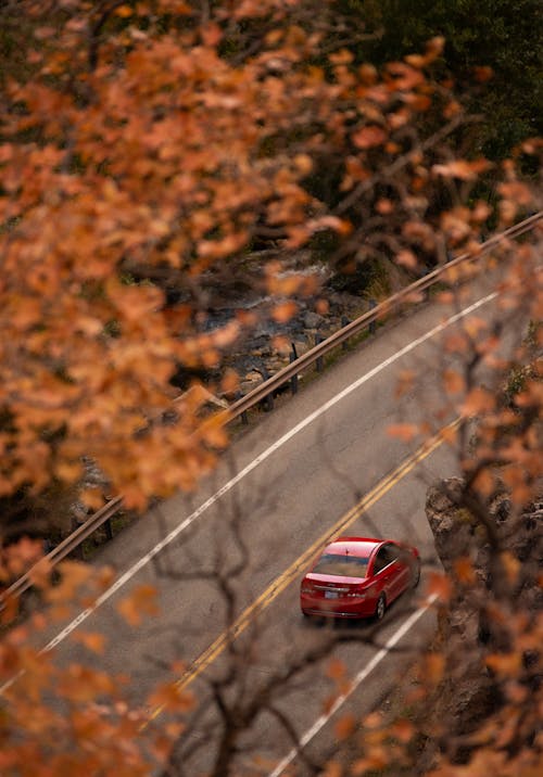 A car driving down a road with fall foliage