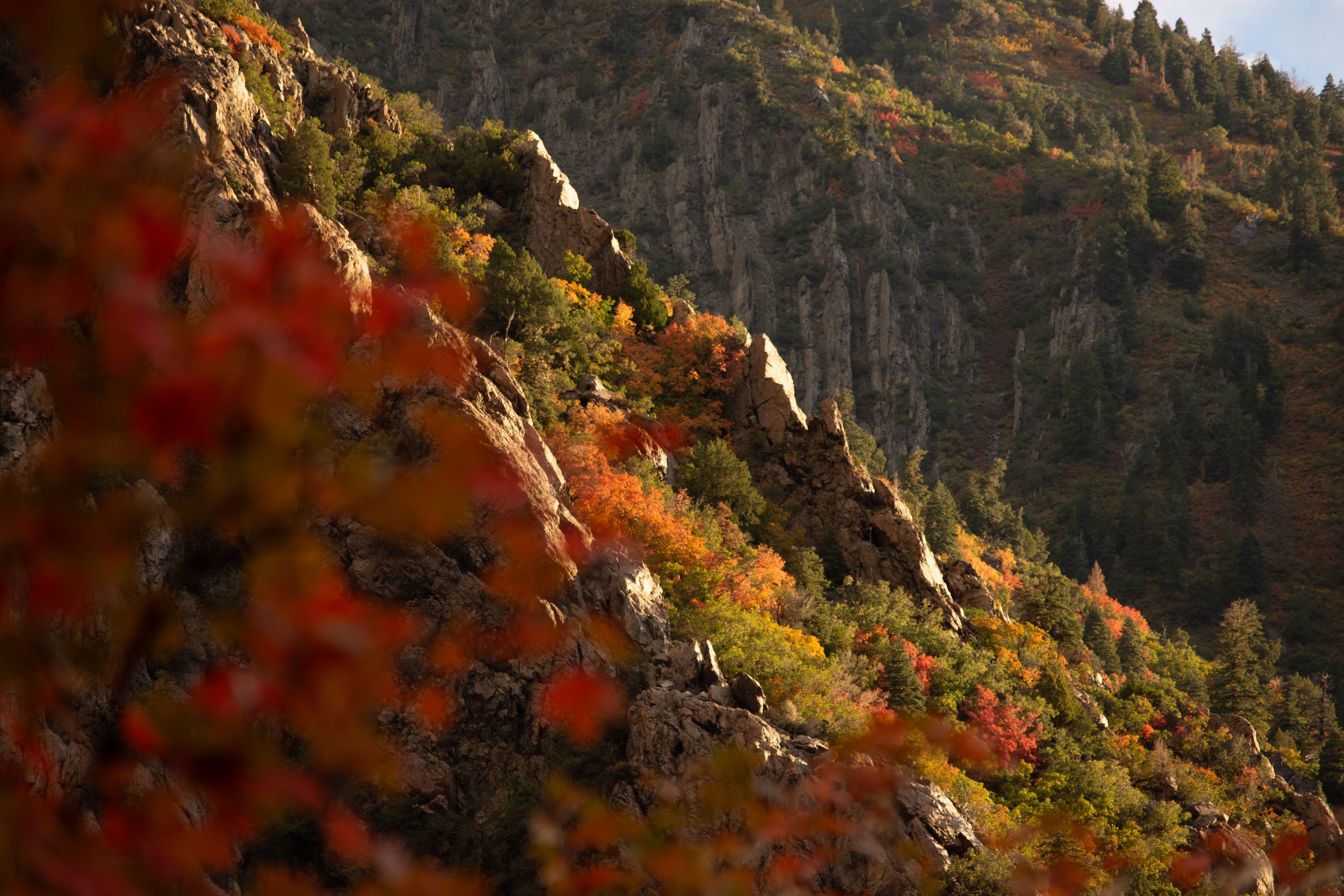Stunning autumn landscape of colorful foliage on cliffs in Salt Lake City, Utah.