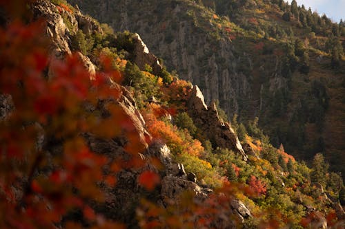 A mountain with autumn leaves and a rocky hillside