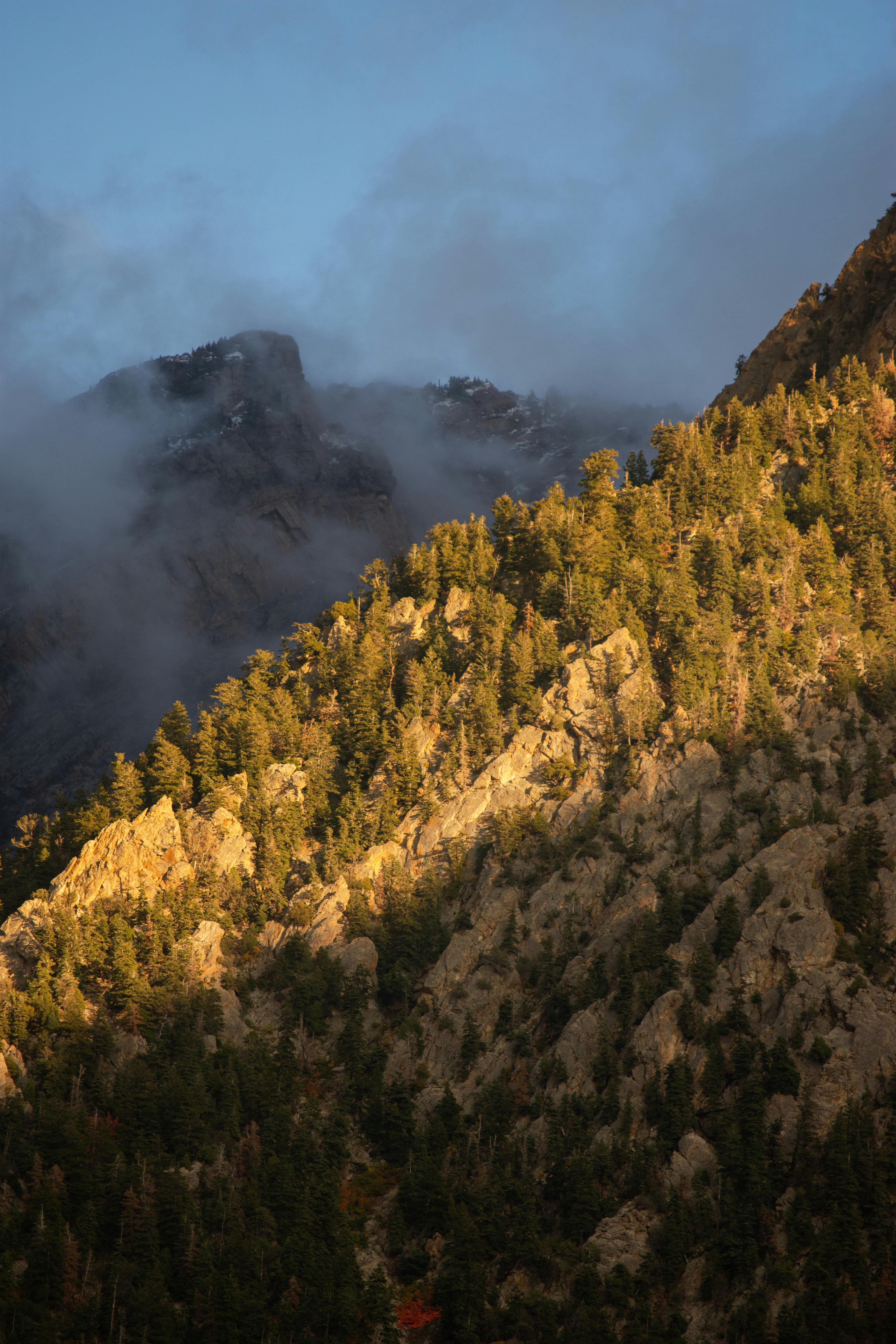 Dramatic sunset light over coniferous forest and foggy mountain ridge in Brighton, Utah.