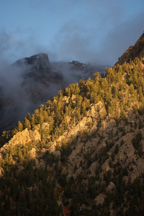 A mountain with trees and clouds in the background