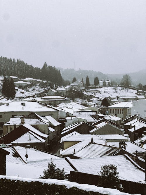 A snowy view of a town with houses and trees