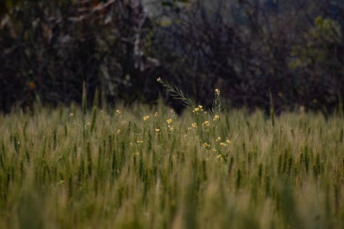 Fotobanka s bezplatnými fotkami na tému 2020 tapety, 4k tapety, 8k tapety