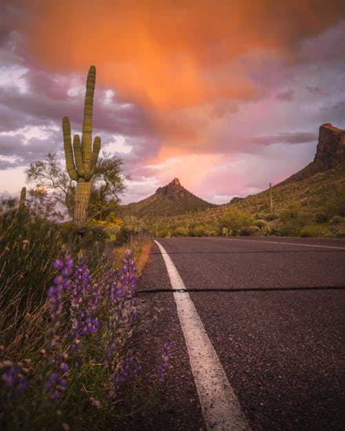 Бесплатное стоковое фото с @outdoor, Аризона, асфальтовая дорога