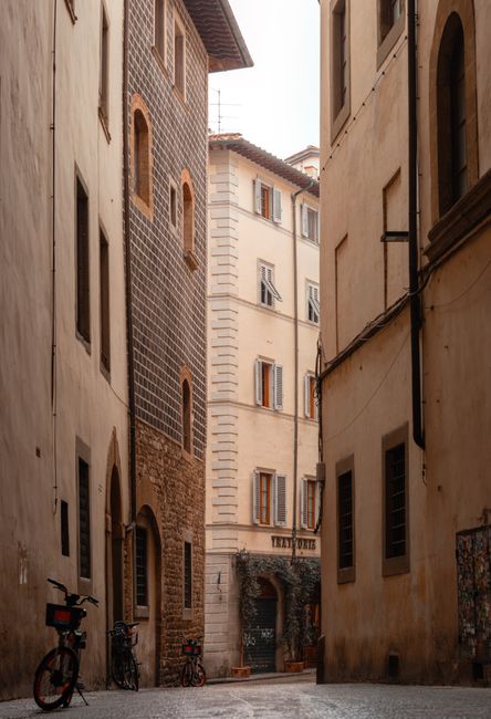 Explore a quaint and historic narrow street in Florence featuring classic Renaissance architecture.