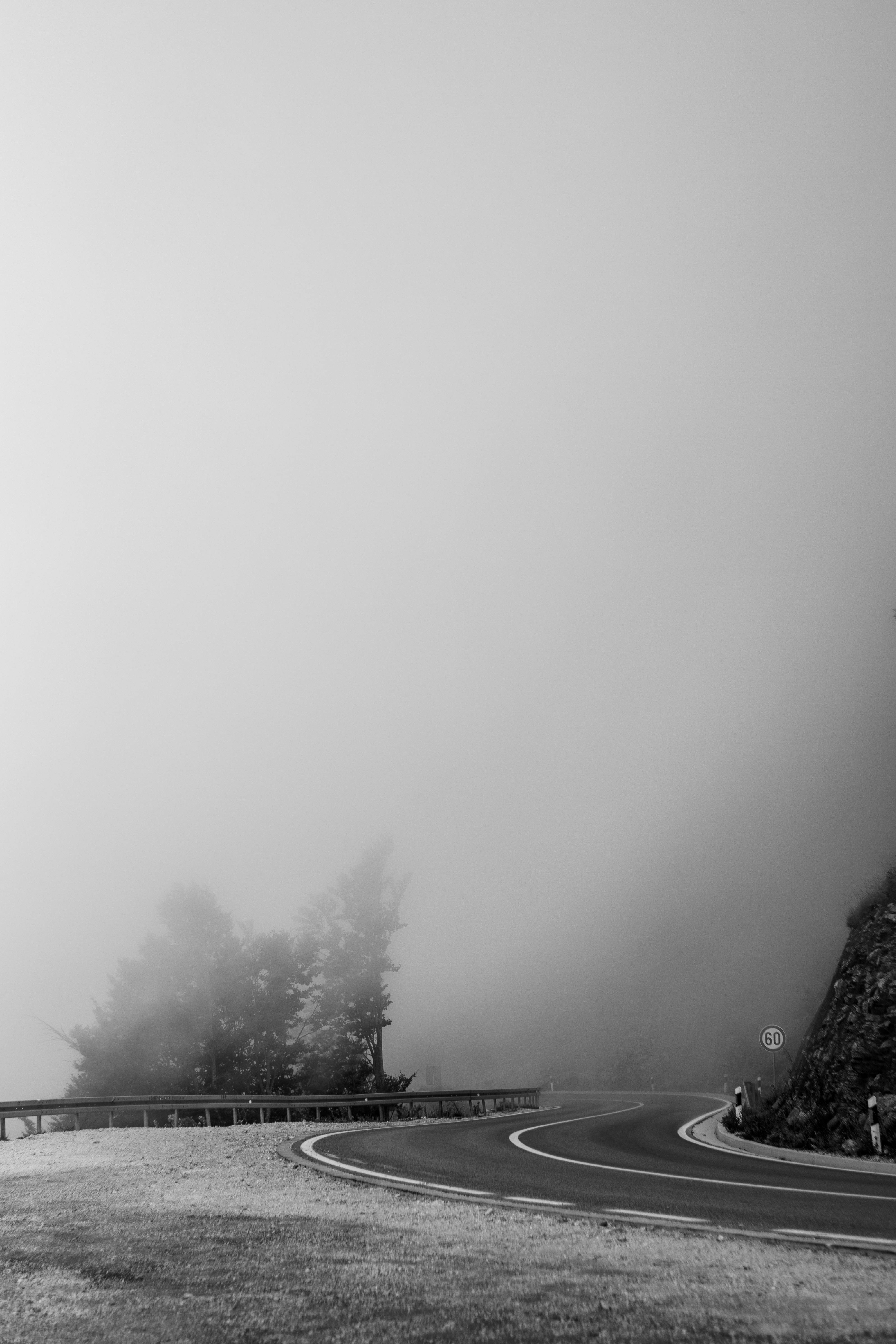 A scenic road curves through a fog-covered forest, captured in a black and white vertical shot.