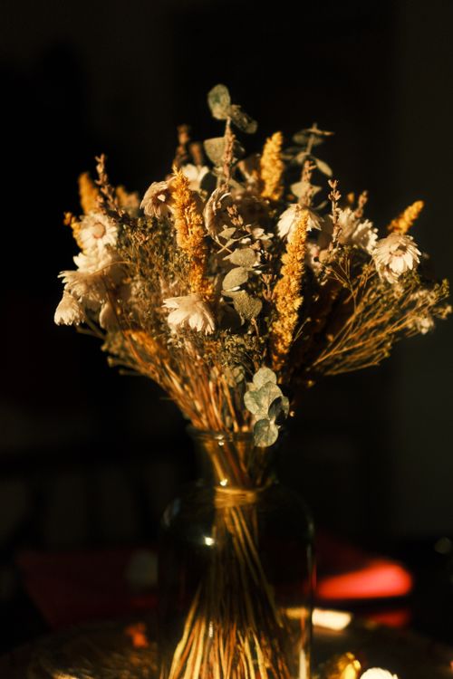 Free Dried flower bouquet in a glass vase, illuminated by warm golden hour light. Stock Photo