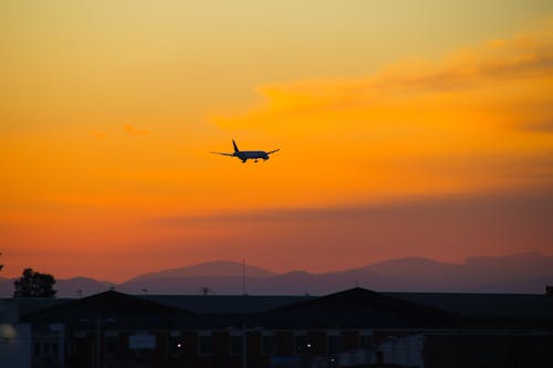 Kostnadsfri bild av flygande, flygplan, gyllene himmel