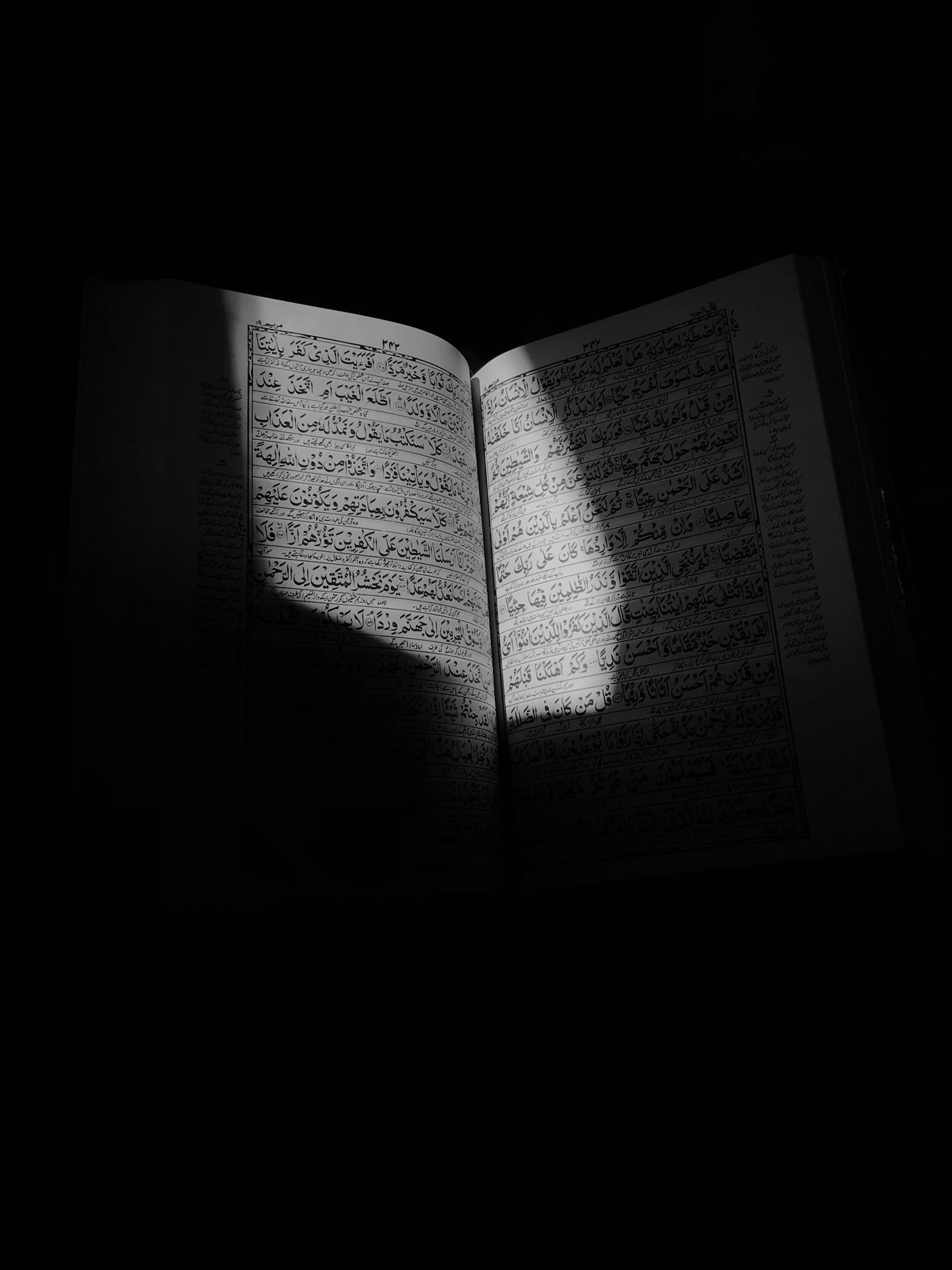 Kelime Anlamı
