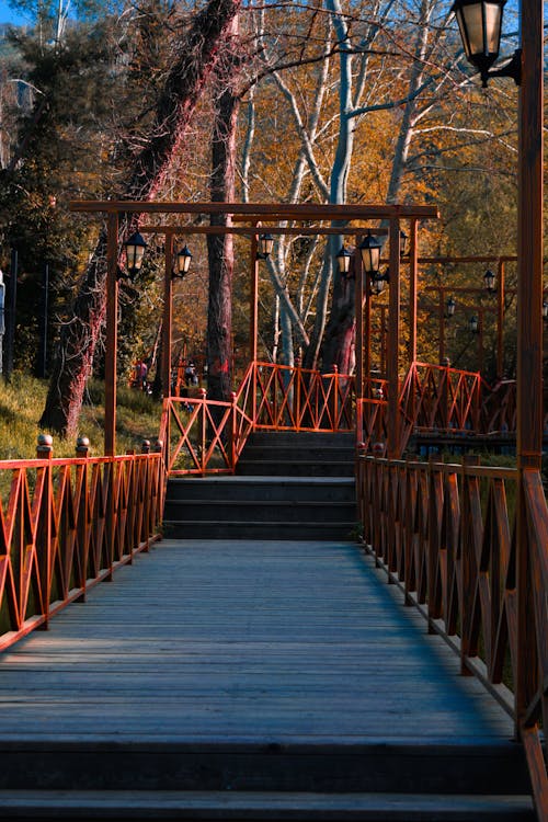 ağaç, ahşap geçit, ahşap köprü içeren Ücretsiz stok fotoğraf