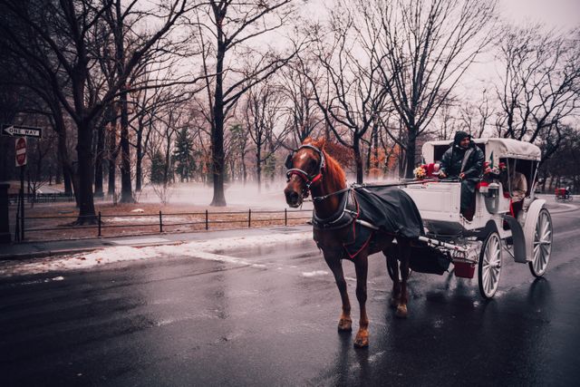 New York : le conseil municipal interdit les calèches touristiques de Central Park à compter de 2028