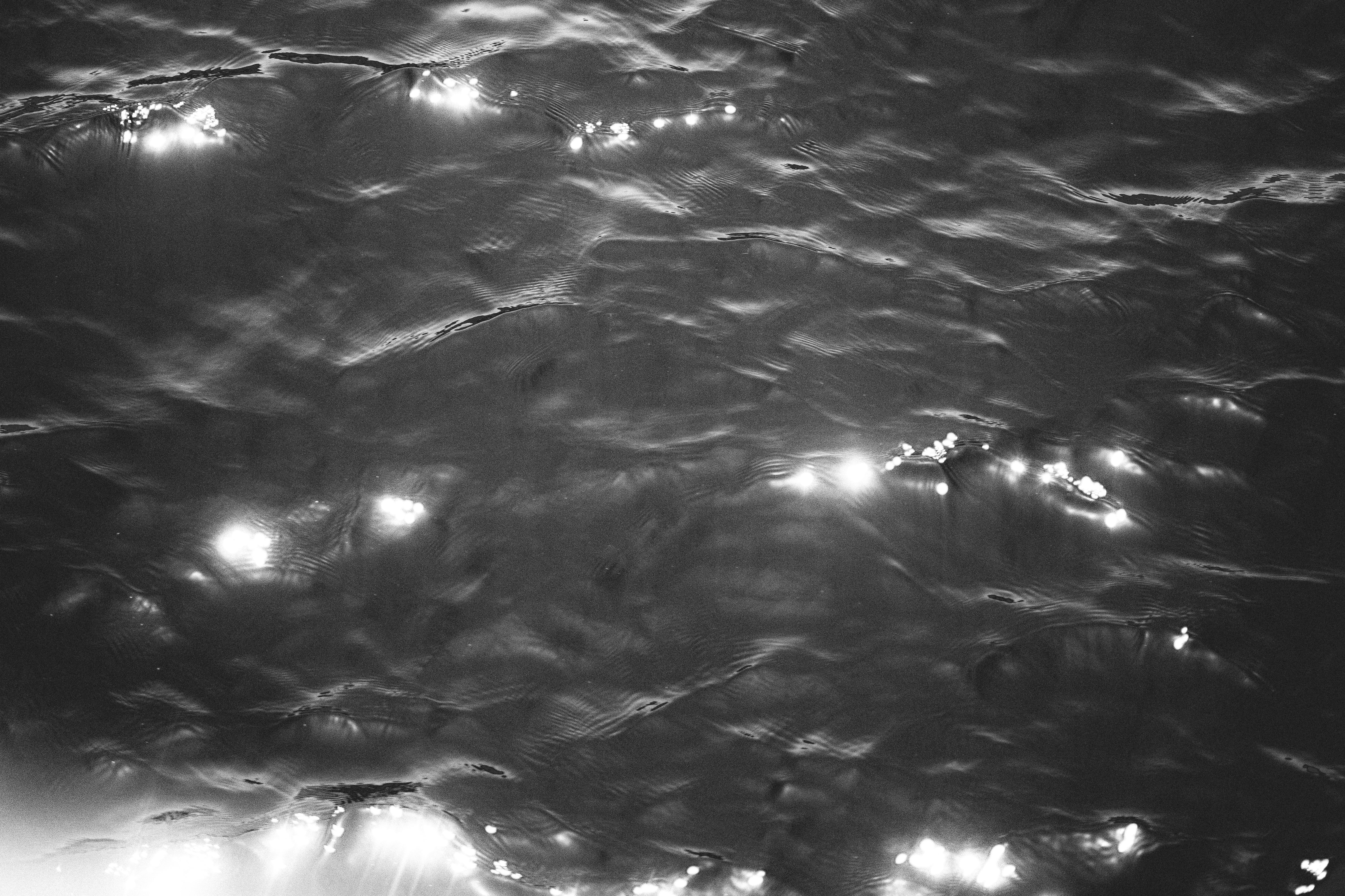 Sunlight in Water in Black and White · Free Stock Photo